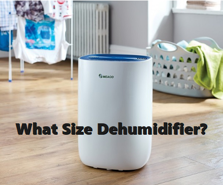 What Size Dehumidifier?