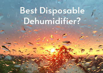Best Disposable Dehumidifier_