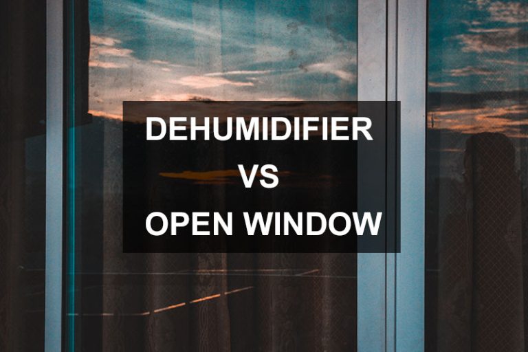 Dehumidifier vs Open Window Which is Best?