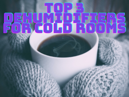 Top 3 dehumidifiers cold room